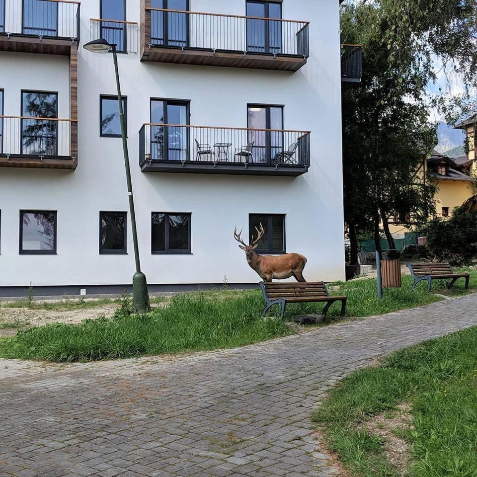 Apartman Hory - V Srdci Tatier Vysoké Tatry Eksteriør billede